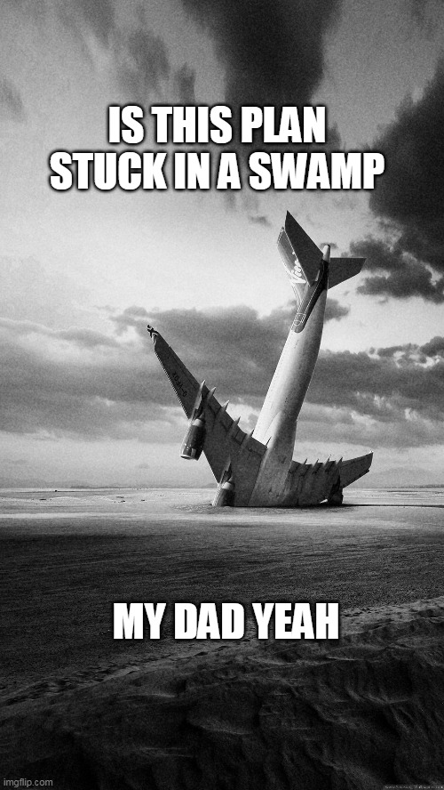 Plane crash | IS THIS PLAN STUCK IN A SWAMP; MY DAD YEAH | image tagged in plane crash | made w/ Imgflip meme maker