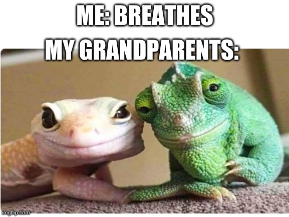 grandparents | ME: BREATHES; MY GRANDPARENTS: | image tagged in memes | made w/ Imgflip meme maker