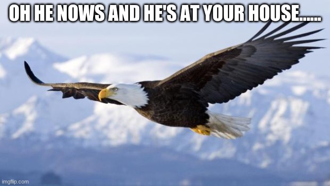eagle | OH HE NOWS AND HE'S AT YOUR HOUSE...... | image tagged in eagle | made w/ Imgflip meme maker