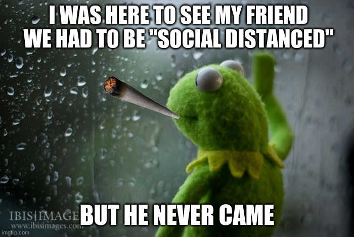 kermit covid | I WAS HERE TO SEE MY FRIEND WE HAD TO BE "SOCIAL DISTANCED"; BUT HE NEVER CAME | image tagged in kermit window | made w/ Imgflip meme maker