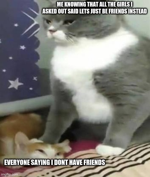 Big cat stomping small cat | ME KNOWING THAT ALL THE GIRLS I ASKED OUT SAID LETS JUST BE FRIENDS INSTEAD; EVERYONE SAYING I DONT HAVE FRIENDS | image tagged in big cat stomping small cat | made w/ Imgflip meme maker