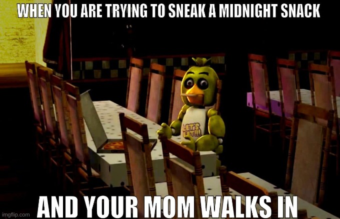 my house | image tagged in chica,fnaf,funny | made w/ Imgflip meme maker