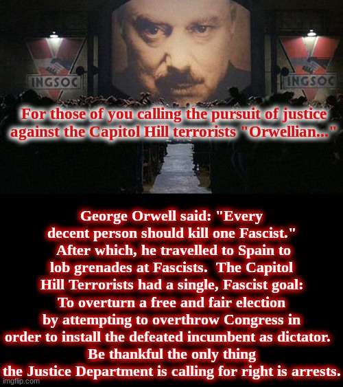 1984 | For those of you calling the pursuit of justice against the Capitol Hill terrorists "Orwellian..."; George Orwell said: "Every decent person should kill one Fascist."  After which, he travelled to Spain to lob grenades at Fascists.  The Capitol Hill Terrorists had a single, Fascist goal: To overturn a free and fair election by attempting to overthrow Congress in order to install the defeated incumbent as dictator.  
Be thankful the only thing the Justice Department is calling for right is arrests. | image tagged in 1984 | made w/ Imgflip meme maker