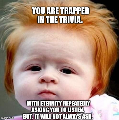 red head  | YOU ARE TRAPPED IN THE TRIVIA. WITH ETERNITY REPEATEDLY ASKING YOU TO LISTEN.  BUT,  IT WILL NOT ALWAYS ASK. | image tagged in red head | made w/ Imgflip meme maker