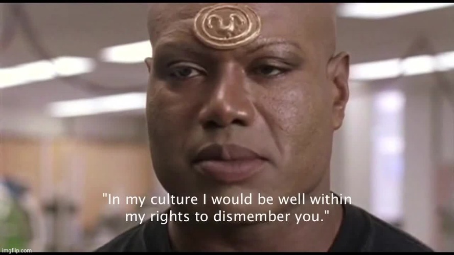 In my culture I would be well within my rights to dismember you | image tagged in in my culture i would be well within my rights to dismember you | made w/ Imgflip meme maker