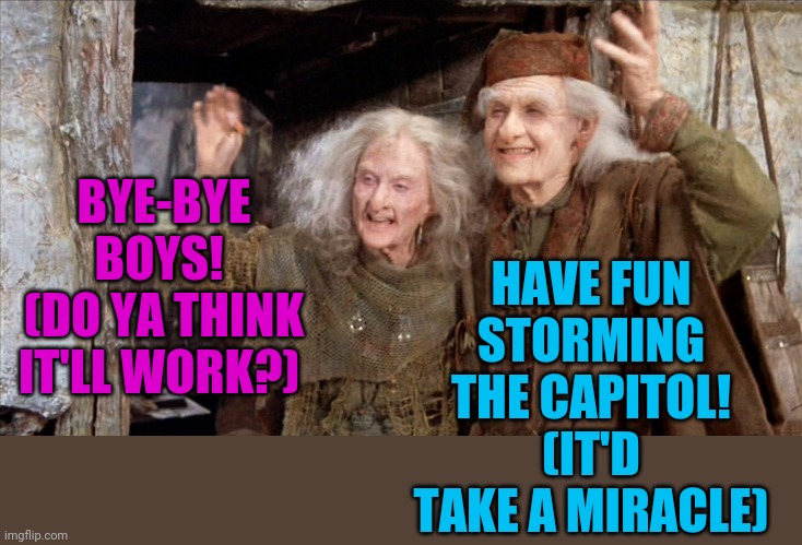 What time is it? Q coup! Q COUP! Says the clock | HAVE FUN STORMING THE CAPITOL!
(IT'D TAKE A MIRACLE); BYE-BYE BOYS! 
(DO YA THINK IT'LL WORK?) | image tagged in princess bride miracle max,colossally stupid | made w/ Imgflip meme maker