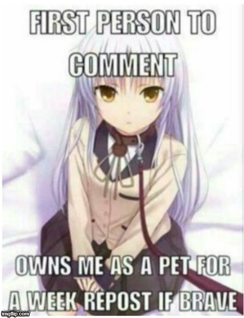 Why am I even doing this..... | made w/ Imgflip meme maker