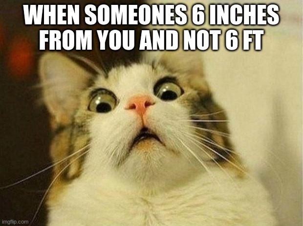 Scared Cat Meme | WHEN SOMEONES 6 INCHES FROM YOU AND NOT 6 FT | image tagged in memes,scared cat | made w/ Imgflip meme maker