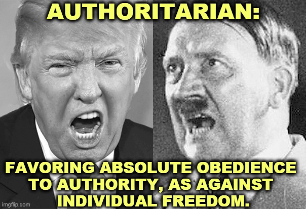 When Trump says "freedom" he means his freedom, not yours. | AUTHORITARIAN:; FAVORING ABSOLUTE OBEDIENCE 
TO AUTHORITY, AS AGAINST 
INDIVIDUAL FREEDOM. | image tagged in trump hitler scream,hitler,trump,dictator,wannabe | made w/ Imgflip meme maker