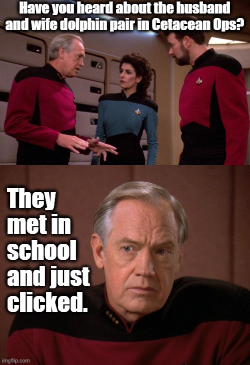 Jellico's Dolphin Joke | Have you heard about the husband and wife dolphin pair in Cetacean Ops? They met in school and just clicked. | image tagged in dad joke,dolphins,bad jokes,star trek the next generation,jellico | made w/ Imgflip meme maker