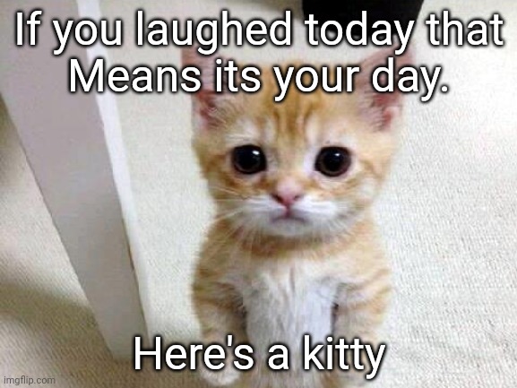 AWWWWWwwww | If you laughed today that
Means its your day. Here's a kitty | image tagged in cats,funny,memes,silly,funny cats,lucky | made w/ Imgflip meme maker