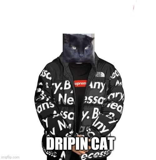 The Drip | DRIPIN CAT | image tagged in goku drip | made w/ Imgflip meme maker