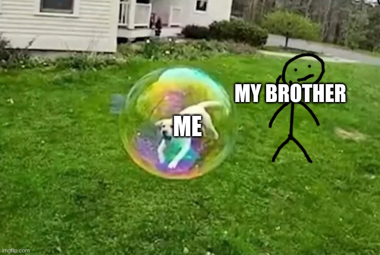 he doesn't even care | MY BROTHER; ME | image tagged in bubble doggo,funny,memes,me | made w/ Imgflip meme maker