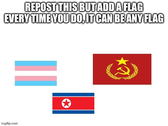 you said any flag | made w/ Imgflip meme maker