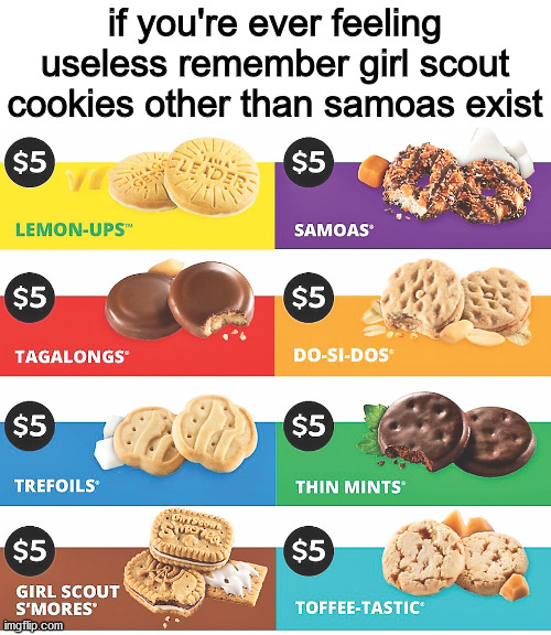 if you're ever feeling useless remember girl scout cookies other than samoas exist | image tagged in memes | made w/ Imgflip meme maker