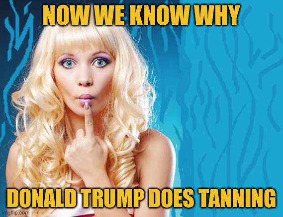 ditzy blonde | NOW WE KNOW WHY DONALD TRUMP DOES TANNING | image tagged in ditzy blonde | made w/ Imgflip meme maker