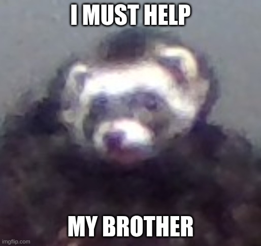 zach's ferret | I MUST HELP MY BROTHER | image tagged in zach's ferret | made w/ Imgflip meme maker