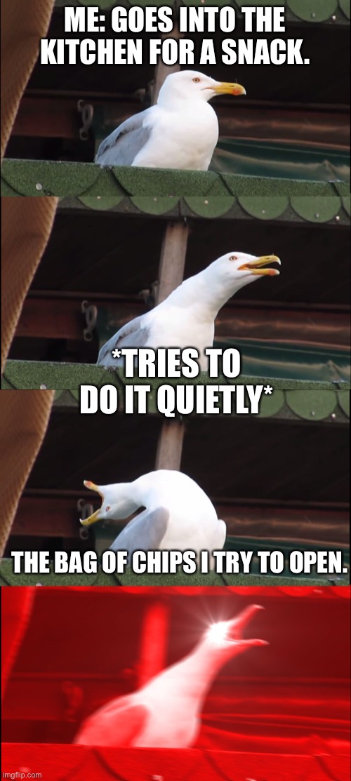 Oh no | ME: GOES INTO THE KITCHEN FOR A SNACK. *TRIES TO DO IT QUIETLY*; THE BAG OF CHIPS I TRY TO OPEN. | image tagged in memes,inhaling seagull | made w/ Imgflip meme maker