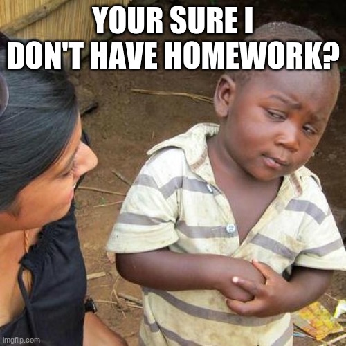 Third World Skeptical Kid Meme | YOUR SURE I DON'T HAVE HOMEWORK? | image tagged in memes,third world skeptical kid | made w/ Imgflip meme maker
