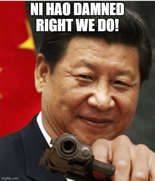 Xi Jinping | NI HAO DAMNED RIGHT WE DO! | image tagged in xi jinping | made w/ Imgflip meme maker