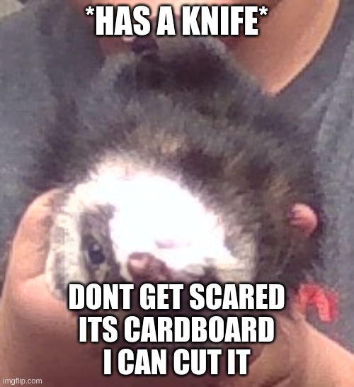 upside down ferret | *HAS A KNIFE* DONT GET SCARED
ITS CARDBOARD
I CAN CUT IT | image tagged in upside down ferret | made w/ Imgflip meme maker