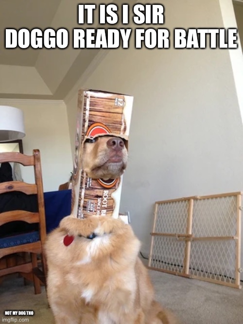 Found this on internet | IT IS I SIR DOGGO READY FOR BATTLE; NOT MY DOG THO | image tagged in yee | made w/ Imgflip meme maker