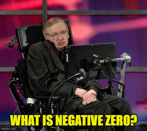 Stephen Hawking | WHAT IS NEGATIVE ZERO? | image tagged in stephen hawking | made w/ Imgflip meme maker