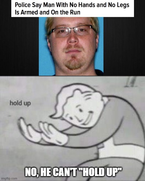 Double Irony | NO, HE CAN'T "HOLD UP" | image tagged in fallout hold up | made w/ Imgflip meme maker