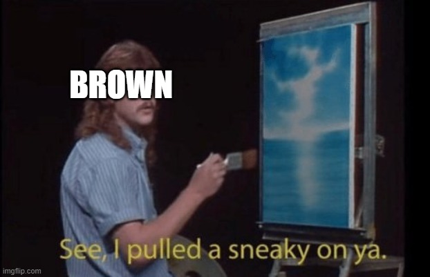 I pulled a sneaky | BROWN | image tagged in i pulled a sneaky | made w/ Imgflip meme maker