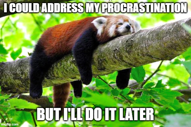 Procrastination | I COULD ADDRESS MY PROCRASTINATION; BUT I'LL DO IT LATER | image tagged in procrastination | made w/ Imgflip meme maker