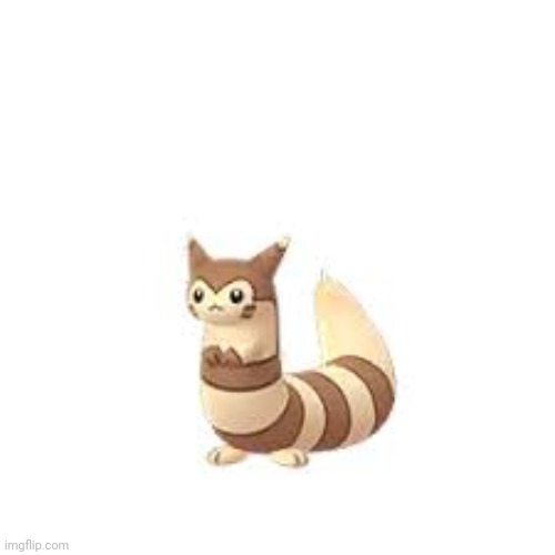 Furret | image tagged in furret | made w/ Imgflip meme maker