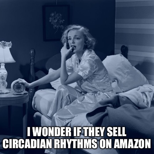 I WONDER IF THEY SELL CIRCADIAN RHYTHMS ON AMAZON | made w/ Imgflip meme maker