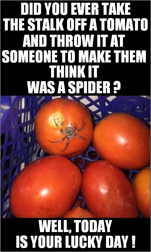 It's A Spider ! | DID YOU EVER TAKE THE STALK OFF A TOMATO; AND THROW IT AT SOMEONE TO MAKE THEM; THINK IT WAS A SPIDER ? WELL, TODAY IS YOUR LUCKY DAY ! | image tagged in fun,tomatoes,spider,trick | made w/ Imgflip meme maker