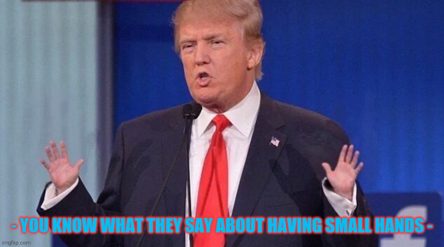 Trump Small Hands | - YOU KNOW WHAT THEY SAY ABOUT HAVING SMALL HANDS - | image tagged in trump small hands | made w/ Imgflip meme maker