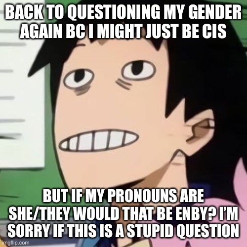 hello :3 | BACK TO QUESTIONING MY GENDER AGAIN BC I MIGHT JUST BE CIS; BUT IF MY PRONOUNS ARE SHE/THEY WOULD THAT BE ENBY? I’M SORRY IF THIS IS A STUPID QUESTION | image tagged in noseless sero,gender identity,questioning | made w/ Imgflip meme maker