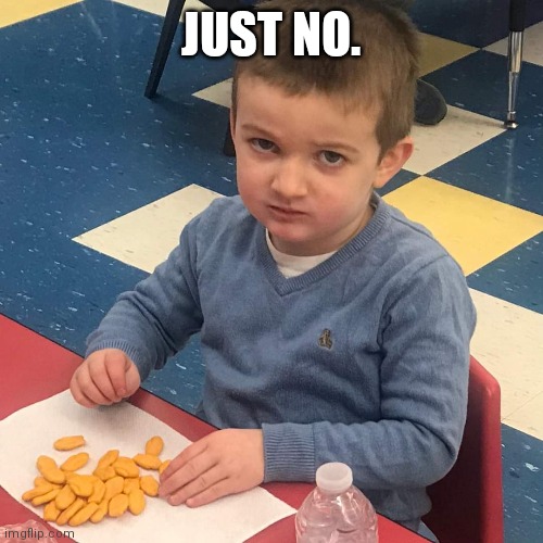 Just No Kid | JUST NO. | image tagged in just no,srsly,judgemental | made w/ Imgflip meme maker