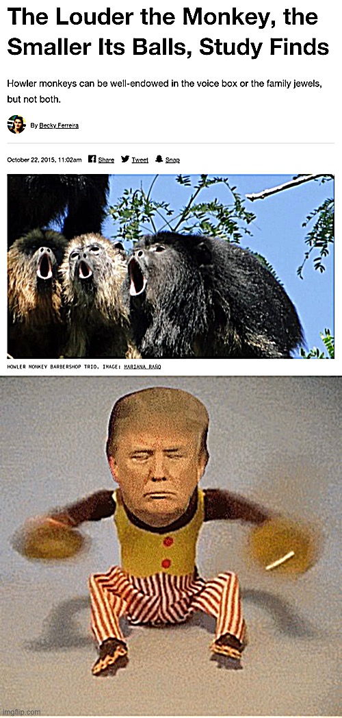 Memes you can hear | image tagged in the louder the monkey the smaller its balls,trump monkey still | made w/ Imgflip meme maker