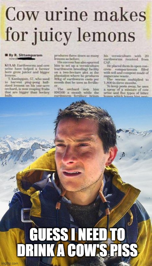 Moo Juice | GUESS I NEED TO DRINK A COW'S PISS | image tagged in memes,bear grylls | made w/ Imgflip meme maker