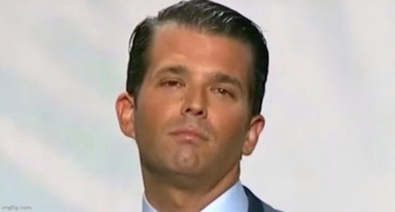 donald trump jr | image tagged in donald trump jr | made w/ Imgflip meme maker