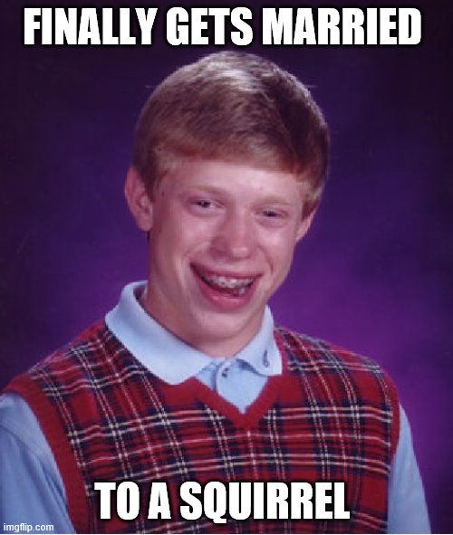 i feel bad for the squirrel | FINALLY GETS MARRIED; TO A SQUIRREL | image tagged in memes,bad luck brian | made w/ Imgflip meme maker