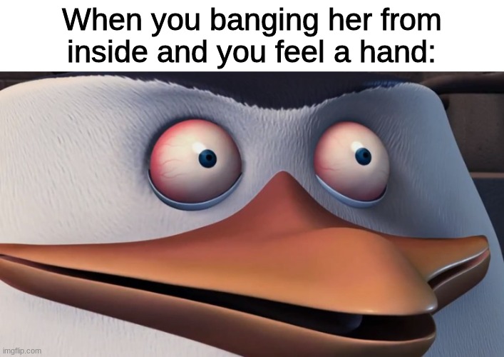 *LOUD WHEEZE* | When you banging her from inside and you feel a hand: | image tagged in shook skipper | made w/ Imgflip meme maker