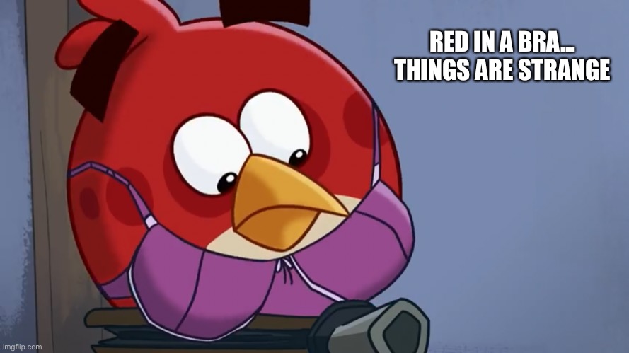 This was in a literal Angry Birds Toons episode | RED IN A BRA...

THINGS ARE STRANGE | image tagged in angry birds,bra,strange,memes | made w/ Imgflip meme maker