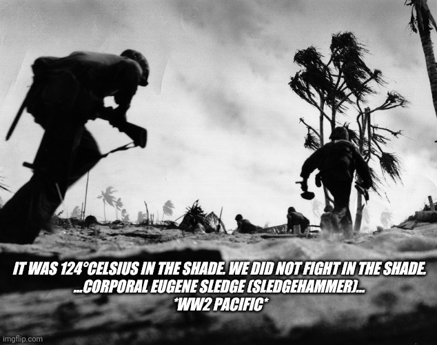WW2 | IT WAS 124°CELSIUS IN THE SHADE. WE DID NOT FIGHT IN THE SHADE.
...CORPORAL EUGENE SLEDGE (SLEDGEHAMMER)...
*WW2 PACIFIC* | image tagged in pacific | made w/ Imgflip meme maker