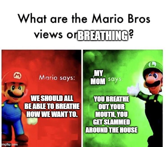 Mario Bros Views |  BREATHING; MY MOM; YOU BREATHE OUT YOUR MOUTH, YOU GET SLAMMED AROUND THE HOUSE; WE SHOULD ALL BE ABLE TO BREATHE HOW WE WANT TO. | image tagged in mario bros views | made w/ Imgflip meme maker