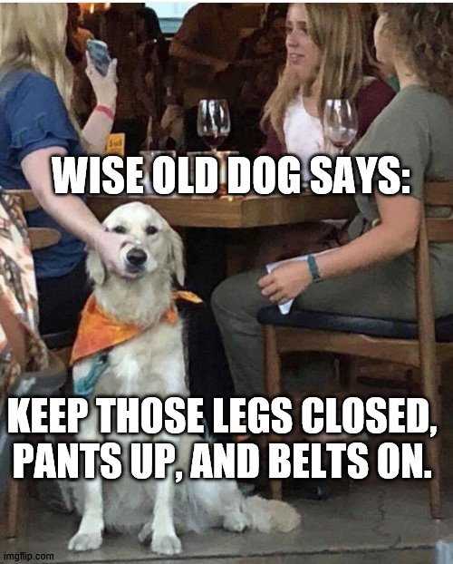 CDC Dog says | WISE OLD DOG SAYS:; KEEP THOSE LEGS CLOSED, PANTS UP, AND BELTS ON. | image tagged in lady holding dog mouth closed | made w/ Imgflip meme maker