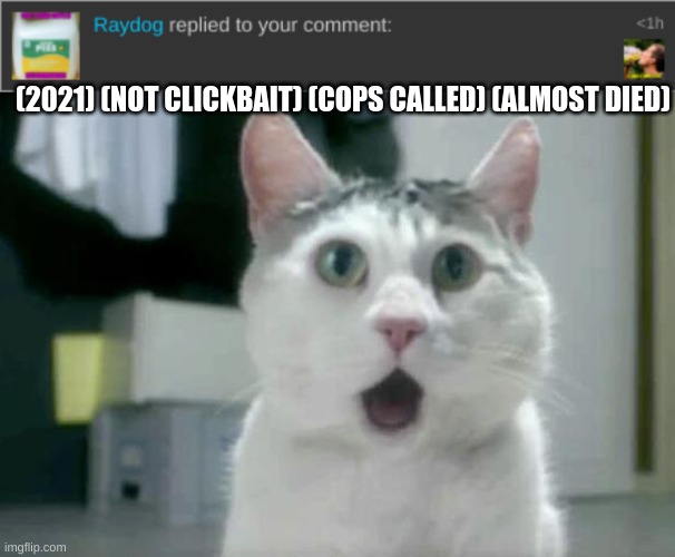 (2021) (NOT CLICKBAIT) (COPS CALLED) (ALMOST DIED) | image tagged in memes,omg cat | made w/ Imgflip meme maker