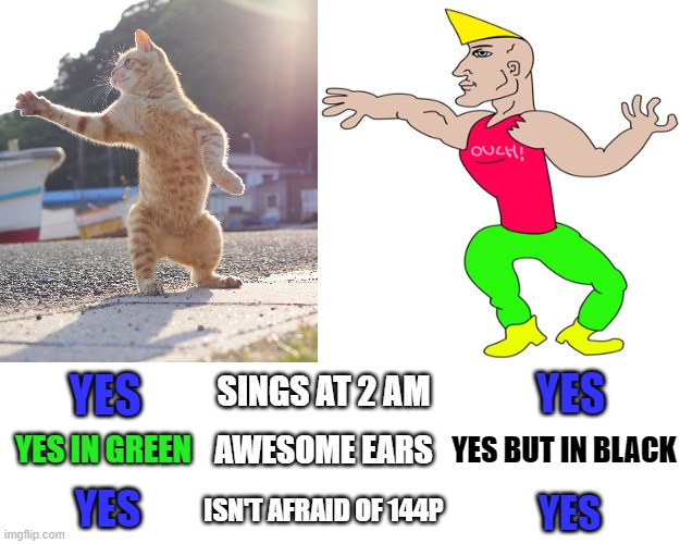 wHACK | SINGS AT 2 AM; YES; YES; YES BUT IN BLACK; YES IN GREEN; AWESOME EARS; ISN'T AFRAID OF 144P; YES; YES | image tagged in chad cat,chad | made w/ Imgflip meme maker