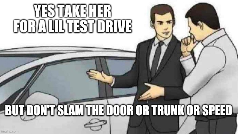 Car Salesman Slaps Roof Of Car | YES TAKE HER FOR A LIL TEST DRIVE; BUT DON'T SLAM THE DOOR OR TRUNK OR SPEED | image tagged in memes,car salesman slaps roof of car | made w/ Imgflip meme maker