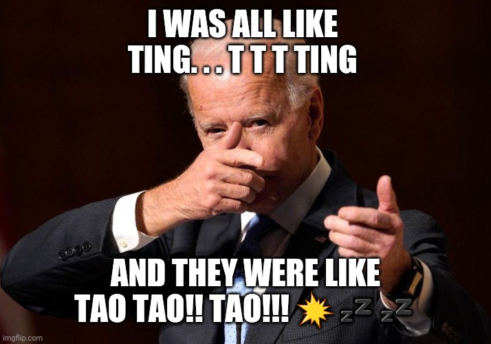 Tao right in the face | I WAS ALL LIKE 
TING. . . T T T TING; AND THEY WERE LIKE TAO TAO!! TAO!!! 💥💤💤 | image tagged in joe biden | made w/ Imgflip meme maker