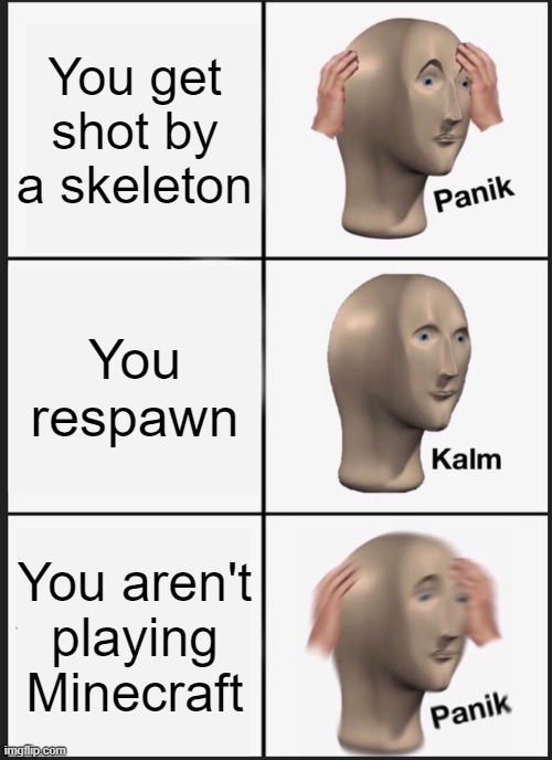Minecraft Skeletons IRL |  You get shot by a skeleton; You respawn; You aren't playing Minecraft | image tagged in memes,panik kalm panik,minecraft | made w/ Imgflip meme maker